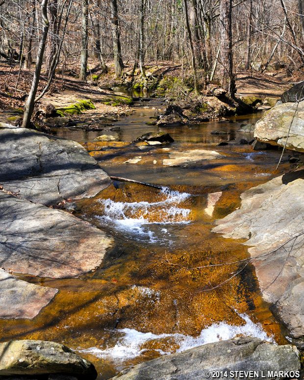 Terrell Mill Creek in the Cochran Shoals Unit of Chattahoochee River National Recreation Area