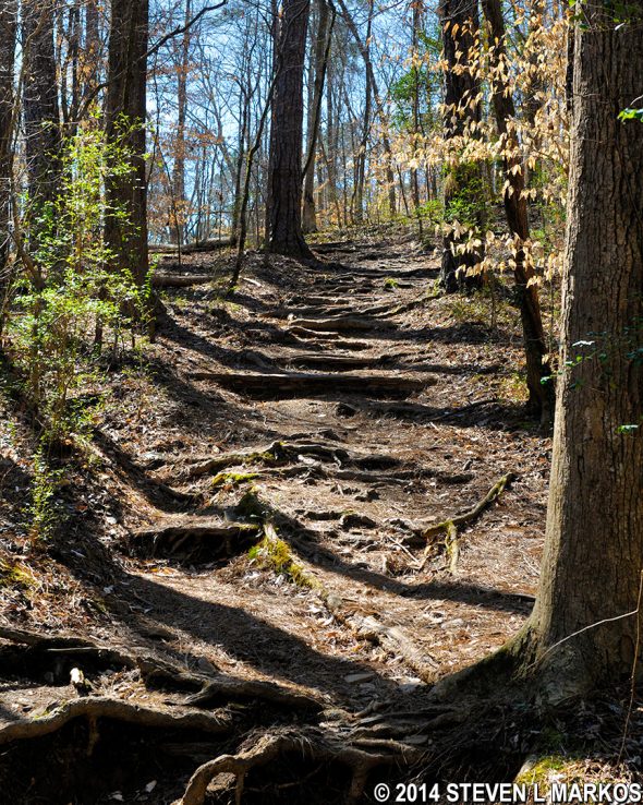 Hilly terrain between intersections CS 23 and CS 26 in the Interstate North section of the Cochran Shoals unit, Chattahoochee River National Recreation Area