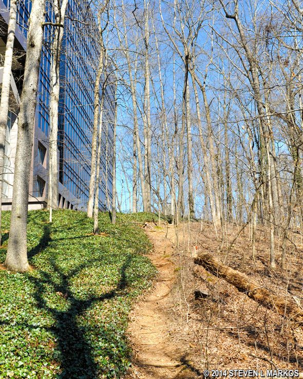 Trail at the Cochran Shoals / Interstate North section of Chattahoochee River National Recreation area between intersection CS 30 and CS 28 runs past an office building