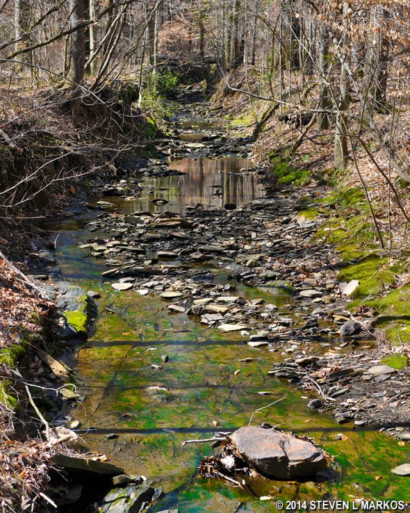 Gunby Creek in the Cochran Shoals / Interstate North section of Chattahoochee River National Recreation Area