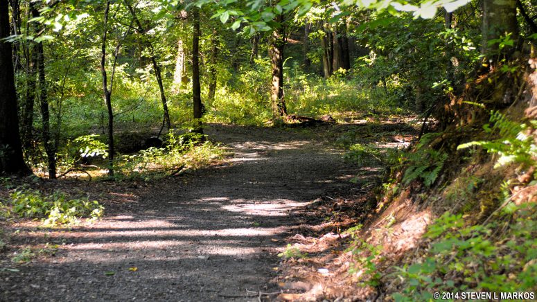 Gravel trail at the start of the loop hike in the Powers Island section of Chattahoochee River National Recreation Area