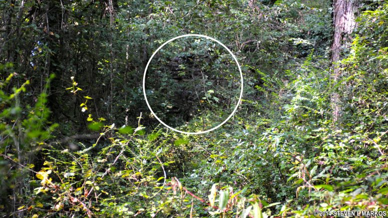 Possible ruin of an old building between intersections PI 8 and PI 9 on the trails in the Powers Island section of Chattahoochee River National Recreation Area
