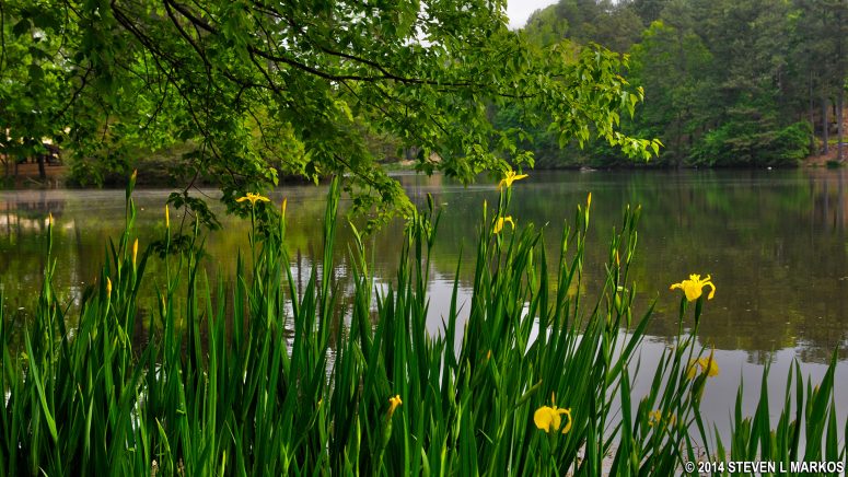 Lake near the Chattahoochee River Environmental Education Center parking lot