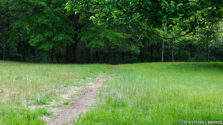 Jones Bridge Unit trail at JB 18 heads into the forest on the way to JB 13, Chattahoochee River National Recreation Area