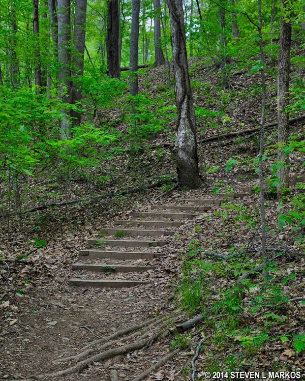 Steep, uphill climb along between intersections JB 6 and JB 7 on the Jones Bridge unit trail in Chattahoochee River National Recreation Area
