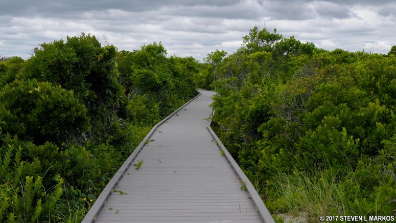 Short boardwalk gives visitors a look at the wilderness without the ticks and poison ivy