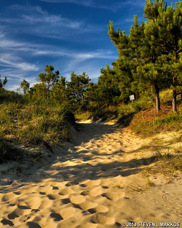 Uphill climb in sand on the Open Ponds Trail on Hatteras Island, Cape Hatteras National Seashore