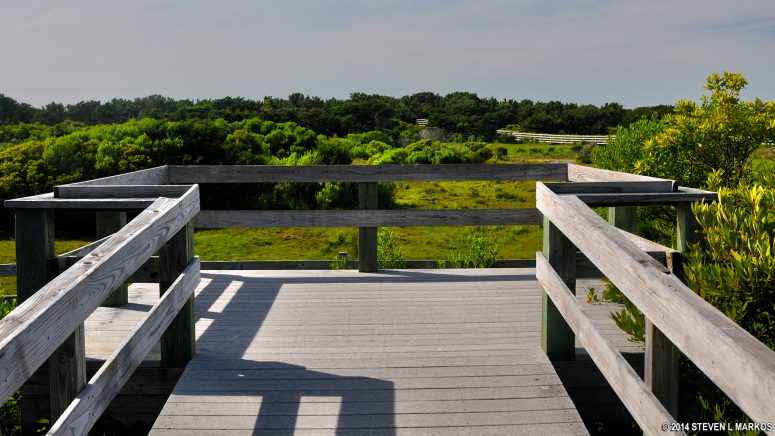 Overlook on the east end of the Pony Pens on Ocracoke Island, Cape Hatteras National Seashore