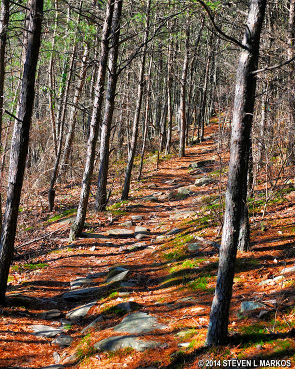 Little Falls Trail in Little River Canyon National Preserve