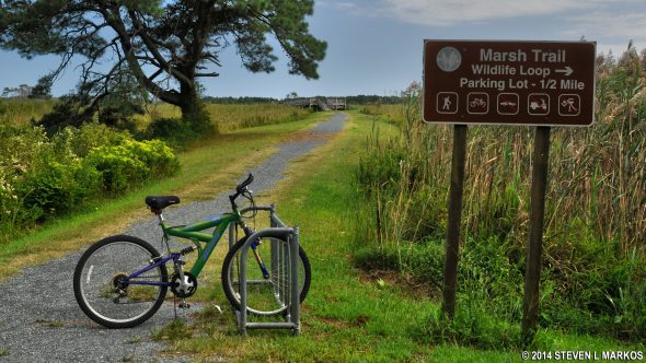 One end of the Marsh Trail at Chincoteague National Wildlife Refuge
