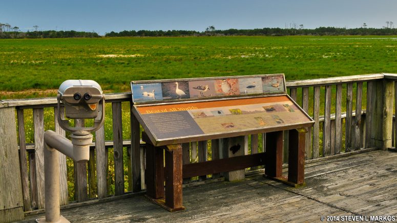 Wayside exhibit on wildlife and one of two spotting scopes at the Marsh Trail overlook at Chincoteague National Wildlife Refuge