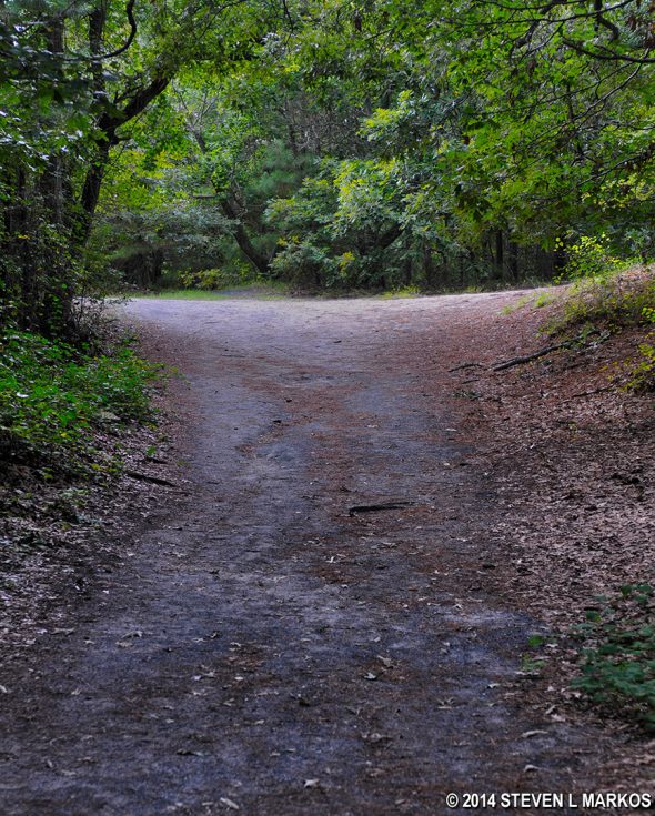 Typical terrain of the Lighthouse Trail