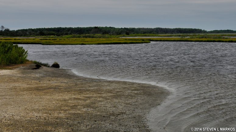 Beach at Old Ferry Landing in the Maryland unit of Assateague Island National Seashore