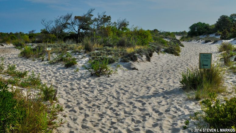 Start of the loop portion of the Life of the Dunes Trail at Assateague Island National Seashore
