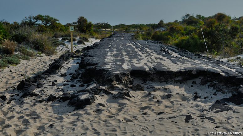 Remnants of an asphalt road from a late 1950s /early 1960s planned community on Assateague Island