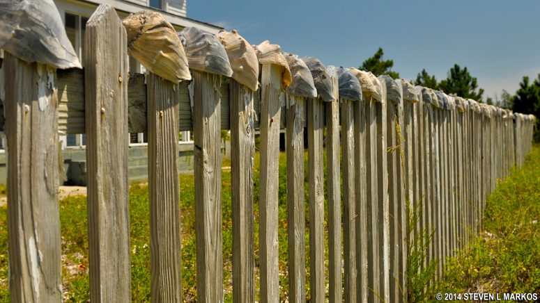 Conch shells decorate the fence of the 1917 U. S. Coast Guard Station in the Cape Lookout Village Historic District