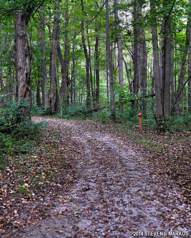 Typical terrain of the Arbor Trail at Johnstown Flood National Memorial
