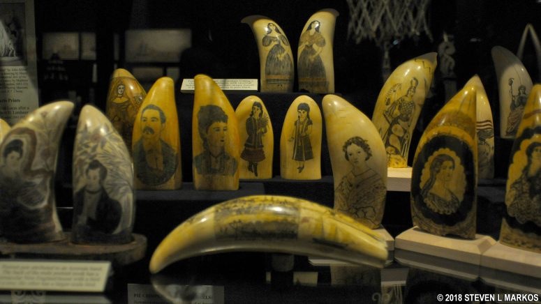 Scrimshaw exhibit at the New Bedford Whaling Museum