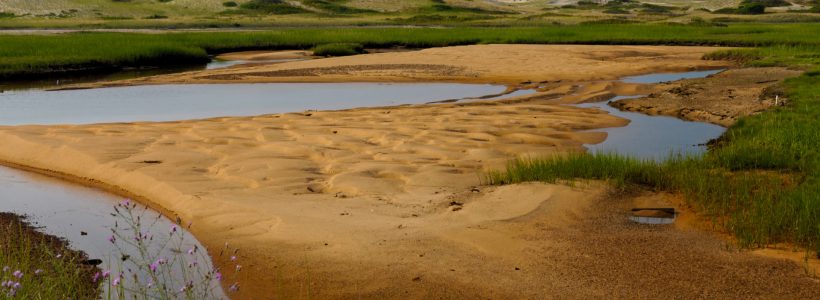 CAPE COD NATIONAL SEASHORE