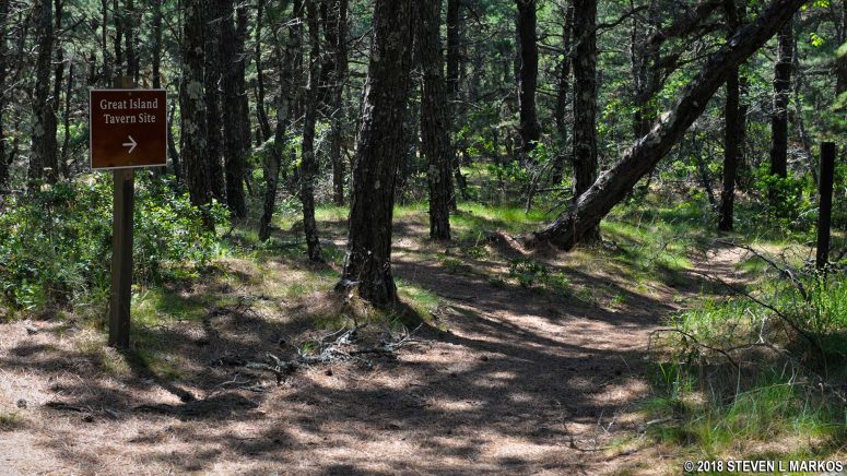 Trail through the pitch pine forest