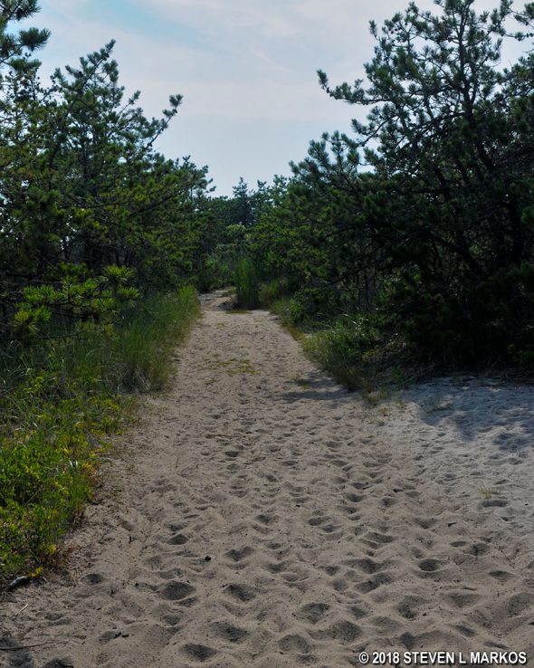 Deep beach sand on the Hatches Harbor Trail