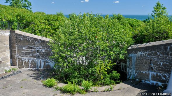 Overgrown 10-inch disappearing gun emplacement at Battery Burbeck on Lovells Island, Boston Harbor Islands National Recreation Area