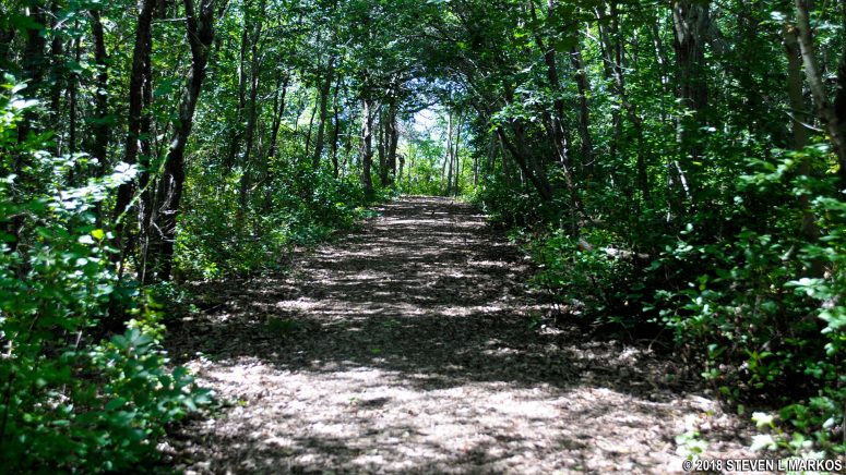 Wide earthen trail at the end of the main park road on Lovells Island, Boston Harbor Islands National Recreation Area