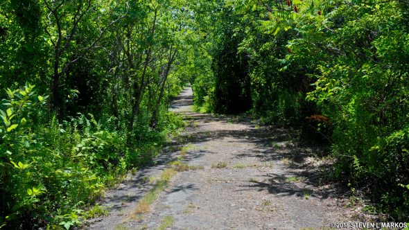 An old road runs nearly the length of Lovells Island in Boston Harbor Islands National Recreation Area