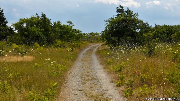 Hiking trail at Peddocks Island, Boston Harbor Islands National Recreation Area