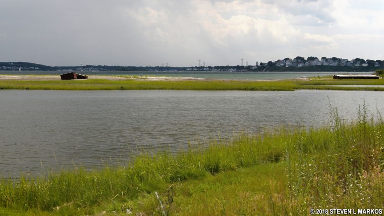 Salt Marsh between Middle Head and West Head on Peddocks Island, Boston Harbor Islands National Recreation Area