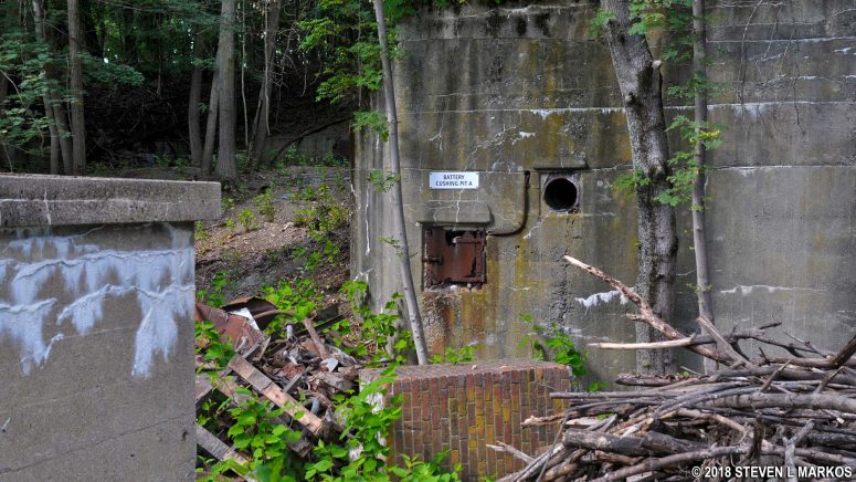 Debris and trees fill Pit A of Battery Cushing at Fort Andrews on Peddocks Island, Boston Harbor Islands National Recreation Area