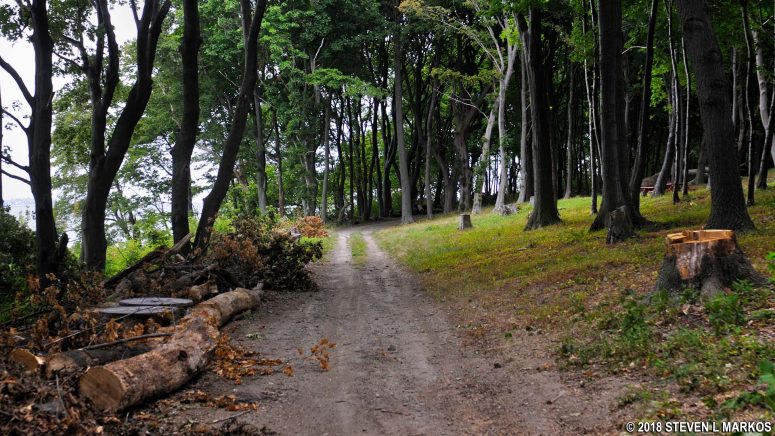 Start of the hike to Coolidge Meadow on Cathleen Stone Island, Boston Harbor Islands National Recreation Area