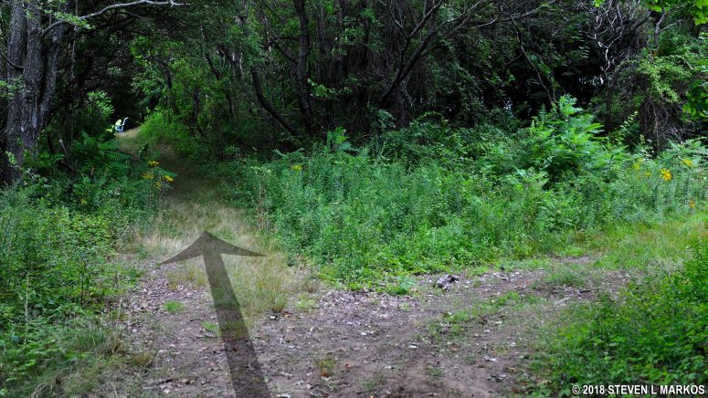 First trail intersection on the hike to Coolidge Meadow on Cathleen Stone Island, Boston Harbor Islands National Recreation Area