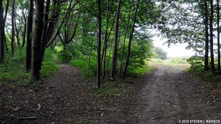 Arriving at Coolidge Meadow on Cathleen Stone Island, Boston Harbor Islands National Recreation Area
