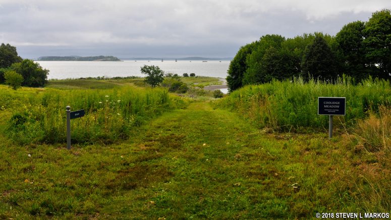 Cathleen Stone Island's Coolidge Meadow Trail loop heading in the counterclockwise direction, Boston Harbor Islands National Recreation Area