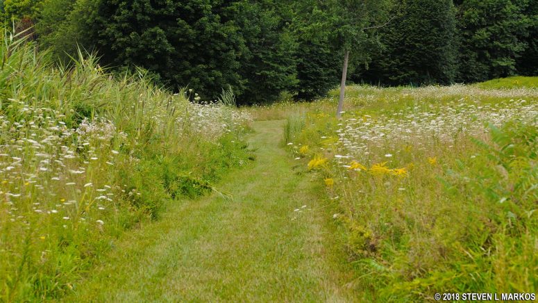 Hiking trail through Coolidge Meadow on Cathleen Stone Island, Boston Harbor Islands National Recreation Area