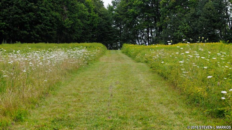 Hike back to the start of the loop around Cathleen Stone Island's Coolidge Meadow, Boston Harbor Islands National Recreation Area