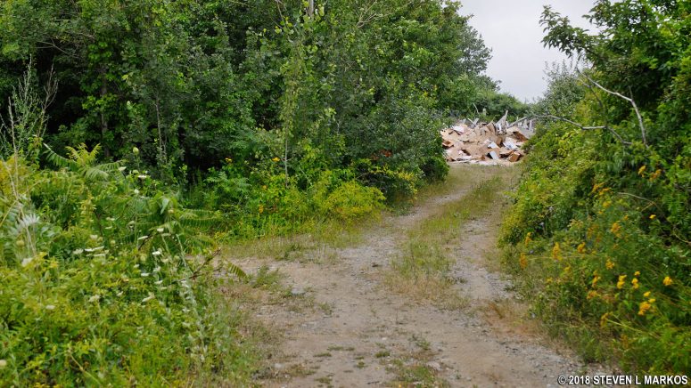 Cardboard dump at the southwest end of Cathleen Stone Island, Boston Harbor Islands National Recreation Area