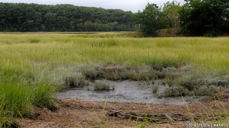 View of the West Salt Marsh on Cathleen Stone Island, Boston Harbor Islands National Recreation Area
