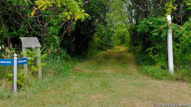 Side trail near the Outward Bound Family Learning Zone to the West Salt Marsh on Cathleen Stone Island, Boston Harbor Islands National Recreation Area