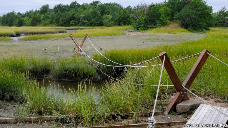 Rope bridge for Outward Bound students spans a creek on Cathleen Stone Island, Boston Harbor Islands National Recreation Area