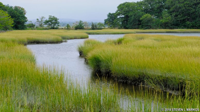 West Salt Marsh on Cathleen Stone Island, Boston Harbor Islands National Recreation Area