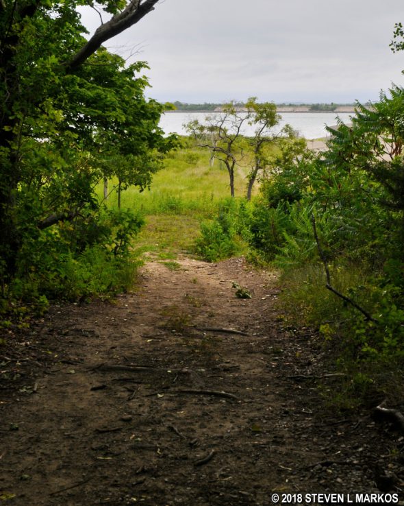 Trail to the cemetery on the south end of Cathleen Stone Island, Boston Harbor Islands National Recreation Area