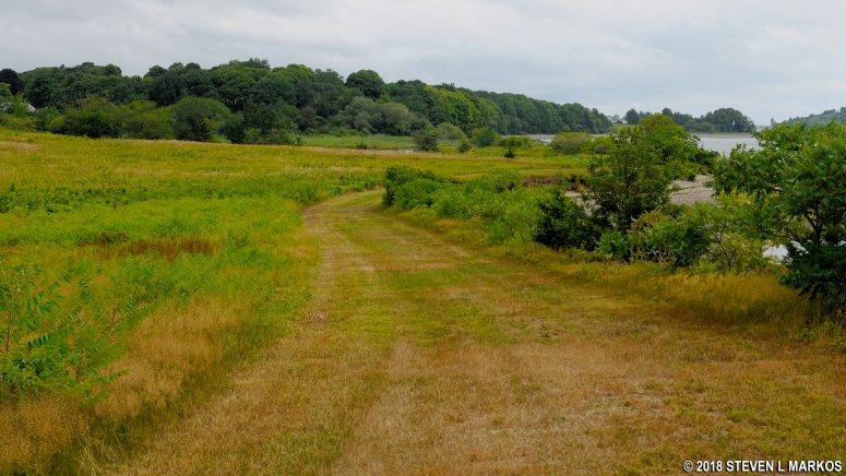 Grass trail runs parallel to the southeastern shore of Cathleen Stone Island near the East Salt Marsh, Boston Harbor Islands National Recreation Area