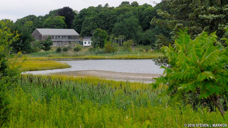East Salt Marsh on Cathleen Stone Island, Boston Harbor Islands National Recreation Area