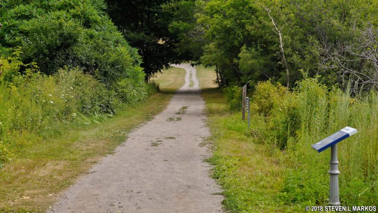 Main road back to the Outward Bound campus and the ferry dock on Cathleen Stone Island, Boston Harbor Islands National Recreation Area