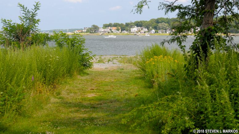 Path to the shore of Web Memorial Park, Boston Harbor Islands National Recreation Area