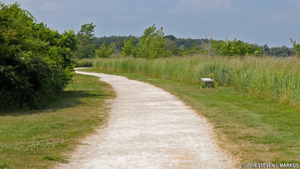 Typical trail at Web Memorial Park, part of Boston Harbor Islands National Recreation Area