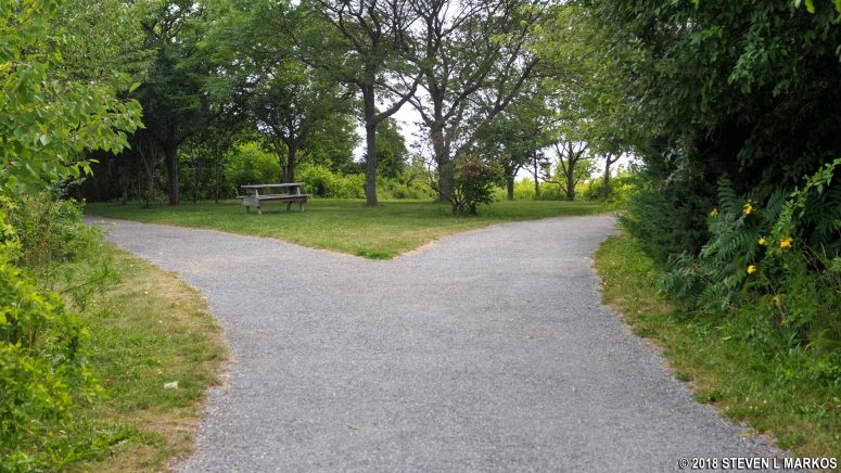 Intersection of the South and West loop at Web Memorial Park, Boston Harbor Islands National Recreation Area
