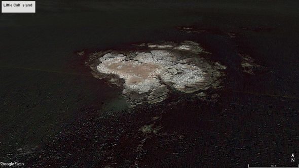 Little Calf Island (click to enlarge)